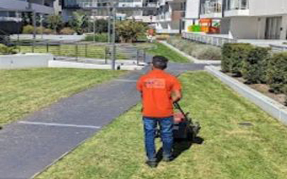 garden trimming